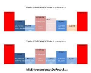 microciclo estructurado