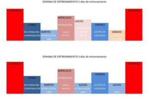 tarea de microciclo estructurado|tarea de microciclo estructurado|tarea de microciclo estructurado|microciclo estructurado