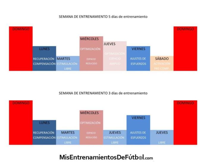 tarea microciclo estructurado