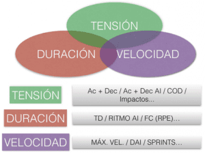 Niveles organizacional del principio de alternancia horizontal