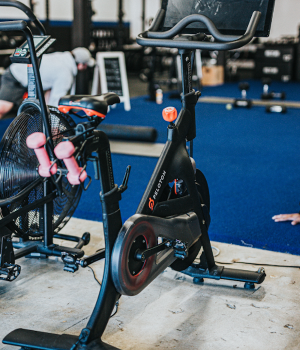 Bicicletas Estáticas con Respaldo para Gimnasios Profesional